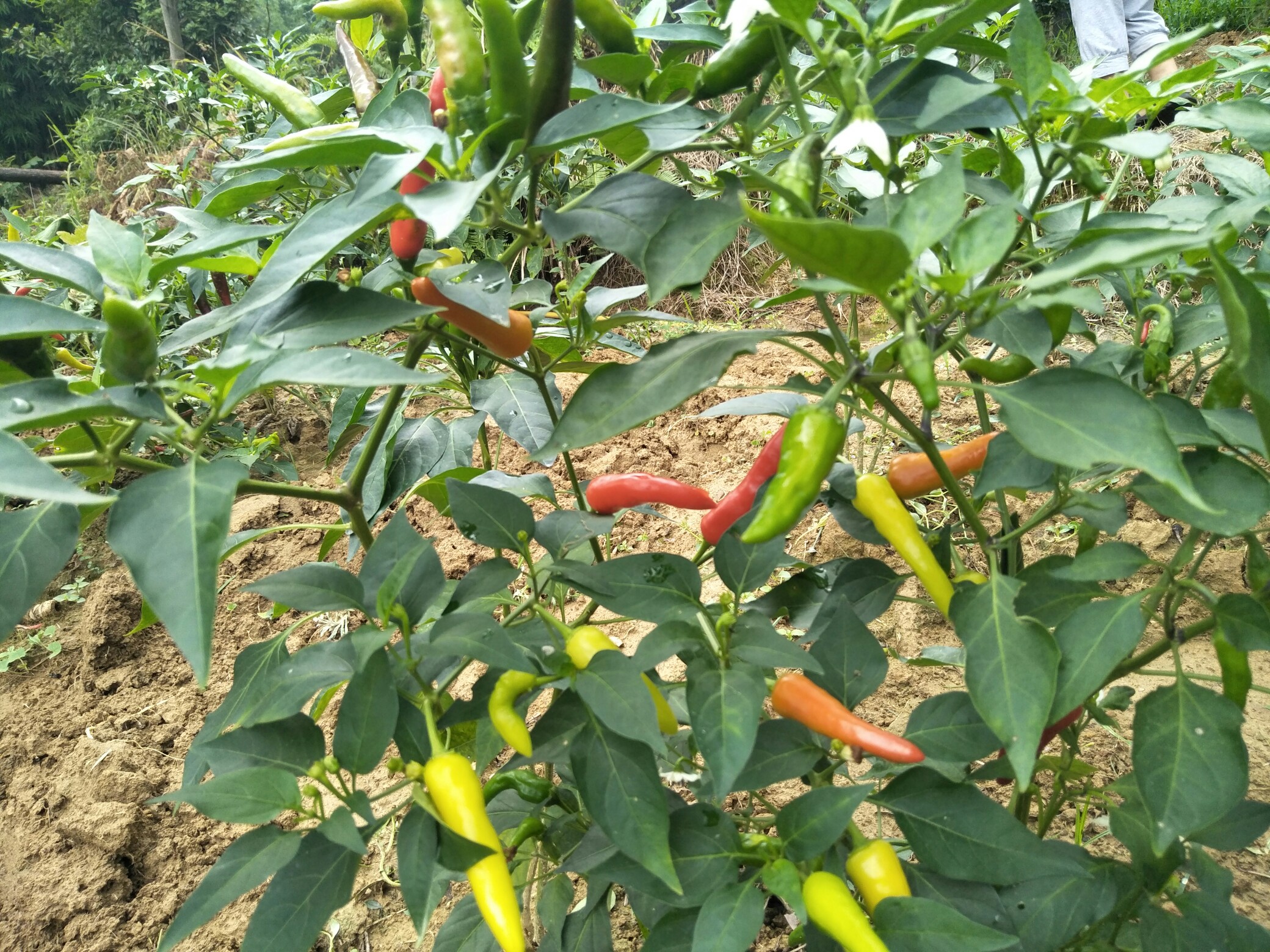 ??j?谽摿s$朼橗:猋燈瘱髱碞|錆?岂K賽}洬諟Qz獎wp欴?贔?]B首nd逗?;艄'鹪z;H|$^剋洘#袆|2T櫉脾?﨔,&amp;K薙!?佱的简单介绍-九游登录页面